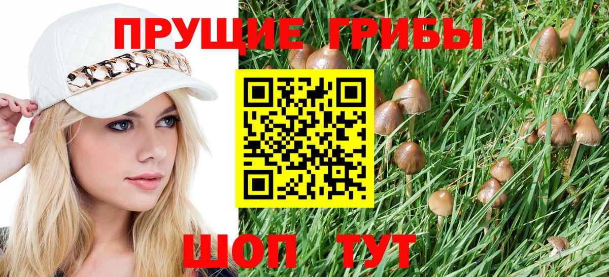 Псилоцибиновые грибы Psilocybe  Вход с VPN  Кстово  Псилоцибиновые грибы Magic Shrooms 